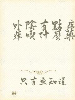 外阴有点疼有点痒吃什么药