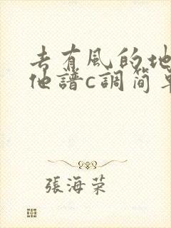 去有风的地方吉他谱c调简单版