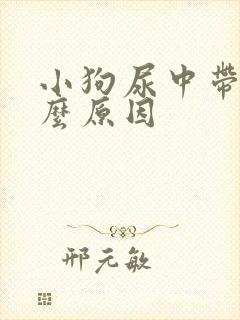 小狗尿中带血什么原因