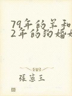 79年的羊和82年的狗婚姻怎么样