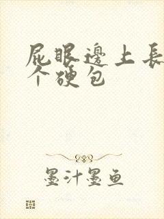 屁眼边上长了一个硬包