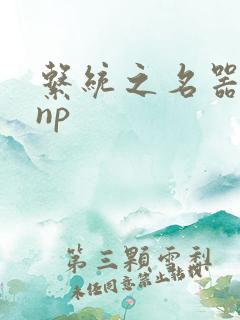 系统之名器攻略np