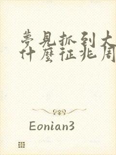 梦见抓到大鱼是什么征兆周公解梦