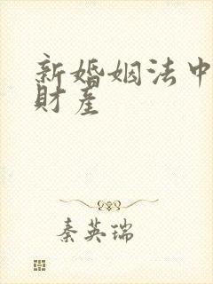 新婚姻法中婚前财产