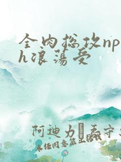 全肉总攻np高h浪荡受