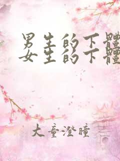 男生的下体插入女生的下体