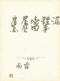 房屋墙体漏水是怎么回事