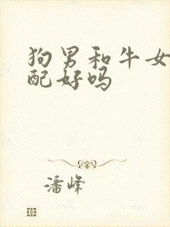 狗男和牛女的婚配好吗