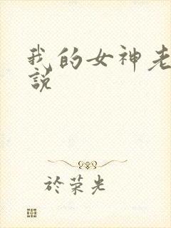 我的女神老婆小说