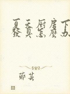 夏天厨房下水道发臭怎么办