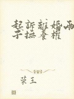 起诉离婚两个孩子抚养权