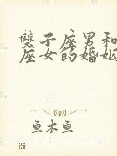 双子座男和天秤座女的婚姻怎样