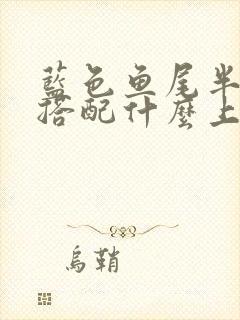 蓝色鱼尾半身裙搭配什么上衣