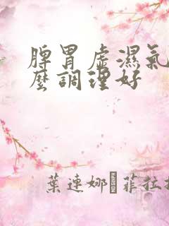 脾胃虚湿气重怎么调理好