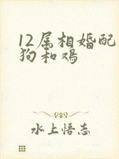 12属相婚配表狗和鸡