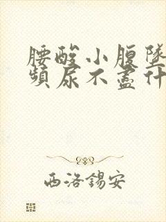 腰酸小腹坠胀尿频尿不尽什么原因