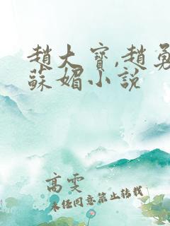 赵大宝,赵勇,苏媚小说