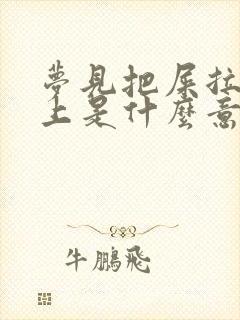 梦见把屎拉到床上是什么意思