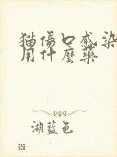 猫伤口感染化脓用什么药