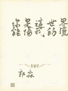 你是这世界唯一能伤我的猎手歌词