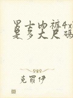 男士内裤4xl是多大尺码