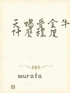 天蝎爱金牛女到什么程度