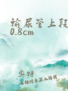 输尿管上段结石0.8cm