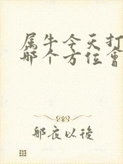 属牛今天打牌坐哪个方位会赢