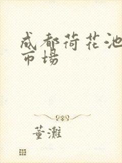 成都荷花池批发市场