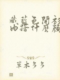 藏蓝色开衫毛衣内搭什么颜色好看