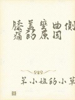 膝盖弯曲侧边疼痛的原因