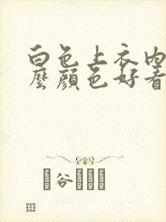 白色上衣内搭什么颜色好看好