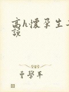 高h怀孕生子小说