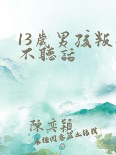 13岁男孩叛逆不听话