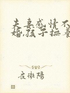 夫妻感情不和离婚,孩子抚养权怎么判