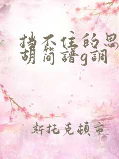 挡不住的思念二胡简谱g调