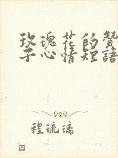 玫瑰花的赞美句子心情短语