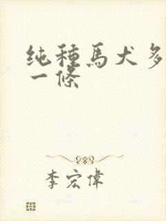 纯种马犬多少钱一条