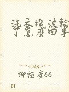 洗衣机波轮不转了怎么回事