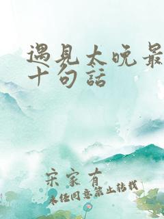 遇见太晚最经典十句话