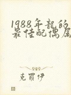 1988年龙的最佳配偶属相