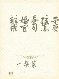 离婚争孩子抚养权官司怎么打