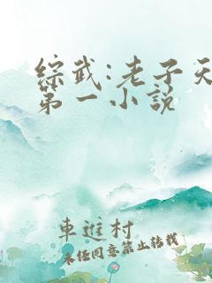 综武:老子天下第一小说