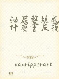 泌尿系统感染为什么会反复发作呢