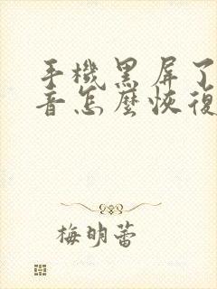 手机黑屏了有声音怎么恢复正常