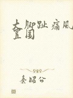 大脚趾痛风的位置图