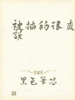 被插的很爽的小说