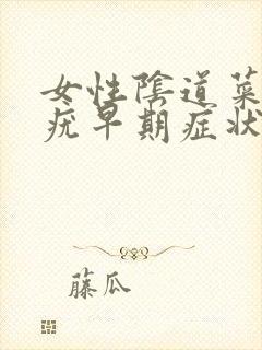 女性阴道菜花状疣早期症状