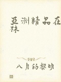 亚洲精品在线丝袜