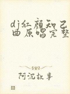 dj红颜知己歌曲原唱完整版